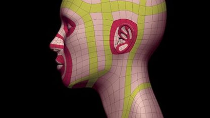 Topologia i modelowanie kobiecej głowy - szkolenie wideo poświęcone modelowaniu organicznemu w programie Blender z zachowaniem poprawnej topologii